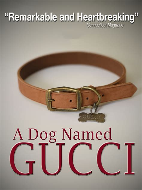 dog named gucci